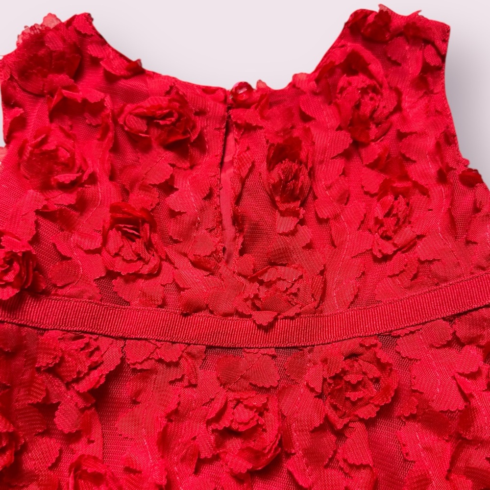 Toddler Girl Baby Gap Red Rosette Tank Dress Holiday Formal Size 12-18 Months - Picture 10 of 13